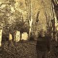 AutoPortrait 4763-V3-09-8b-Acc-950h