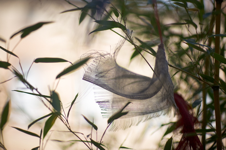 DPriere-1179-Edit-950h.jpg