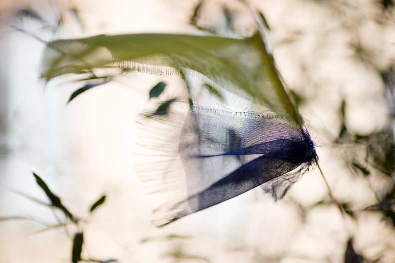 DPriere-1242-Edit-950h.jpg