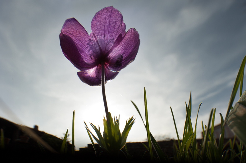 Attente-9251-Edit-950h.jpg